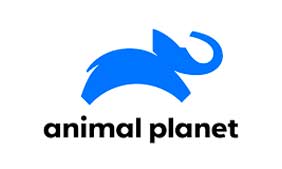 Logo do canal Animal Planet.